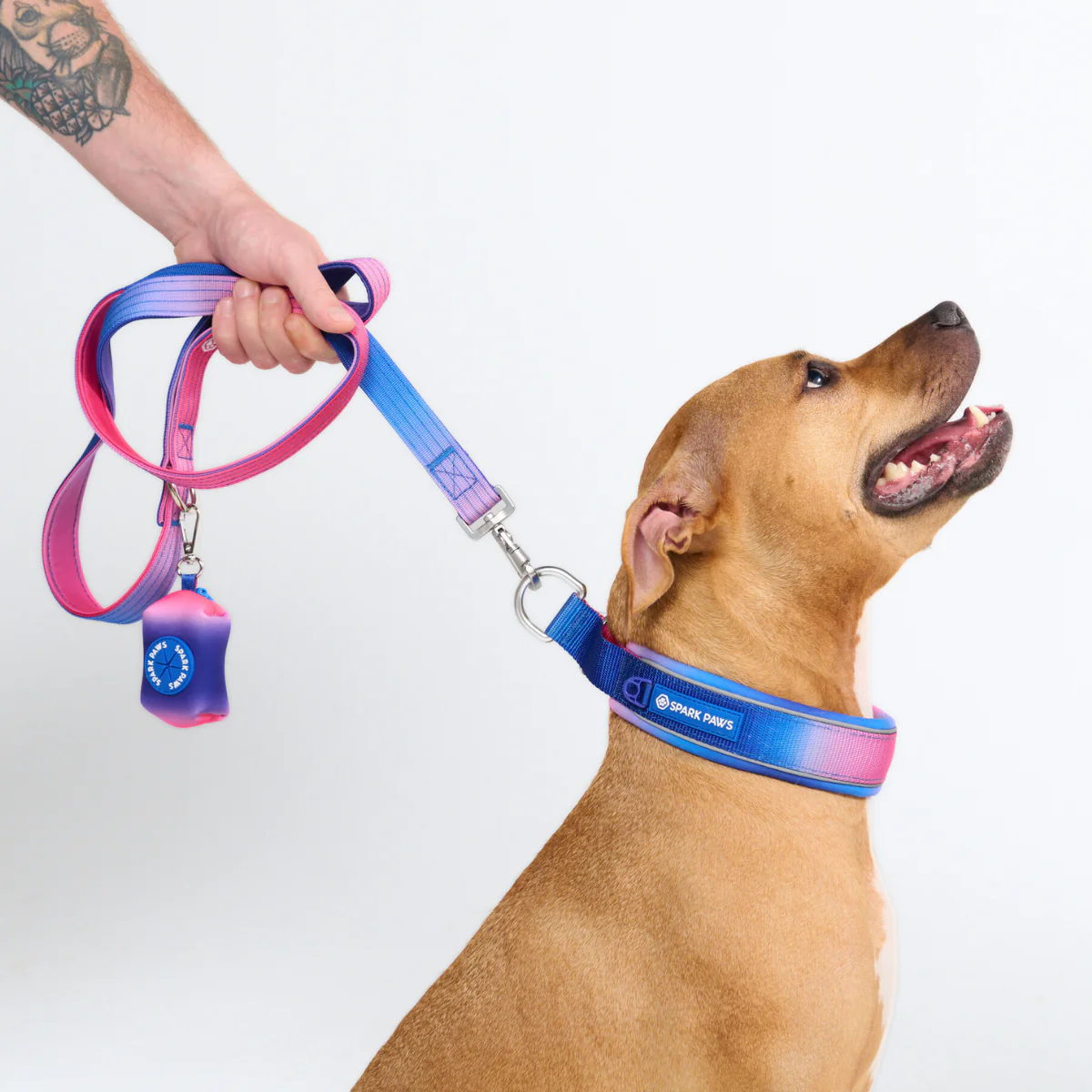 Cushioned Martingale Collar - Snow Cone - Image 9