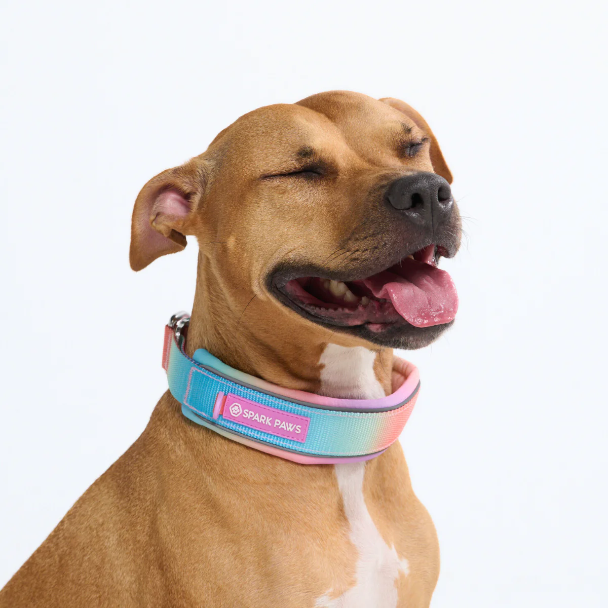 Cushioned Martingale Collars - Image 21