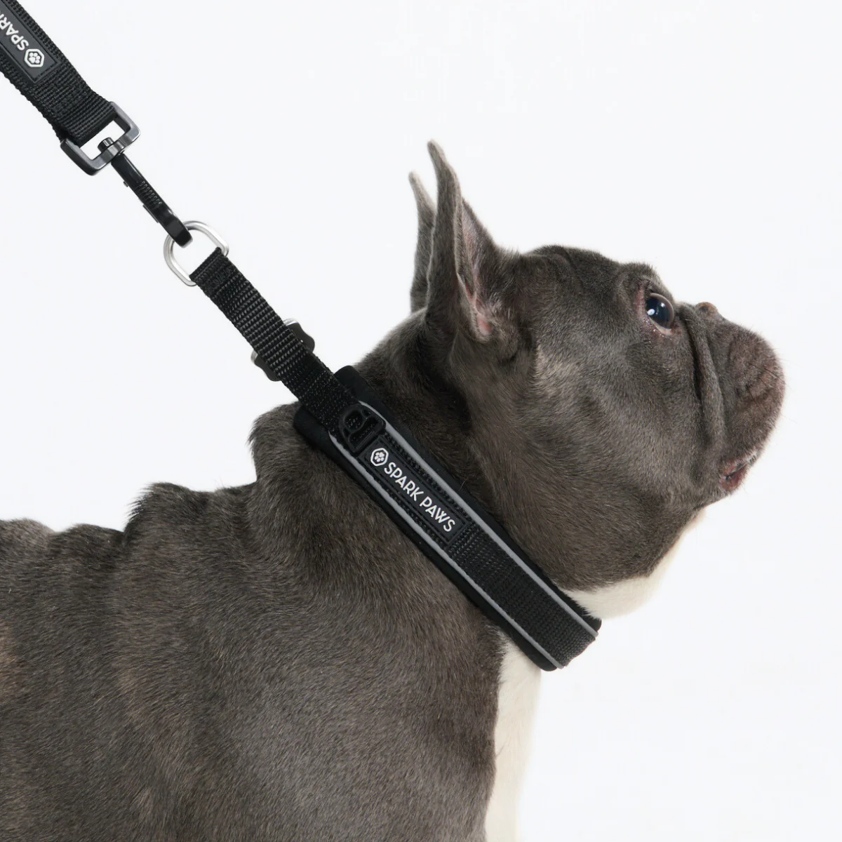 Cushioned Martingale Collars - Image 35