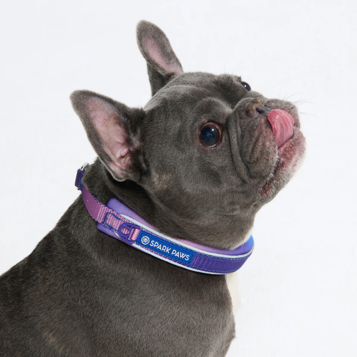 Cushioned Martingale Collars - Image 4