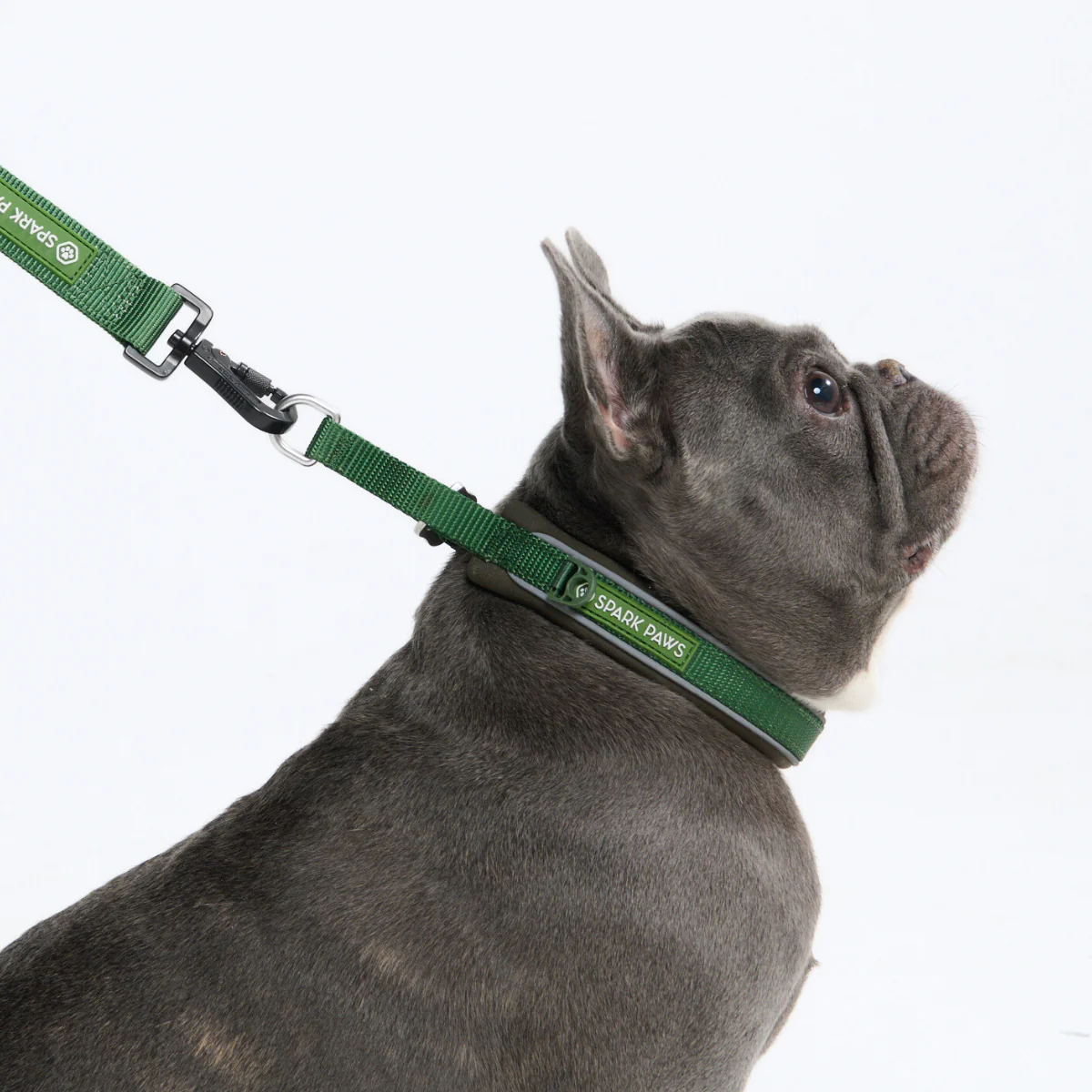 Cushioned Martingale Collars - Image 46