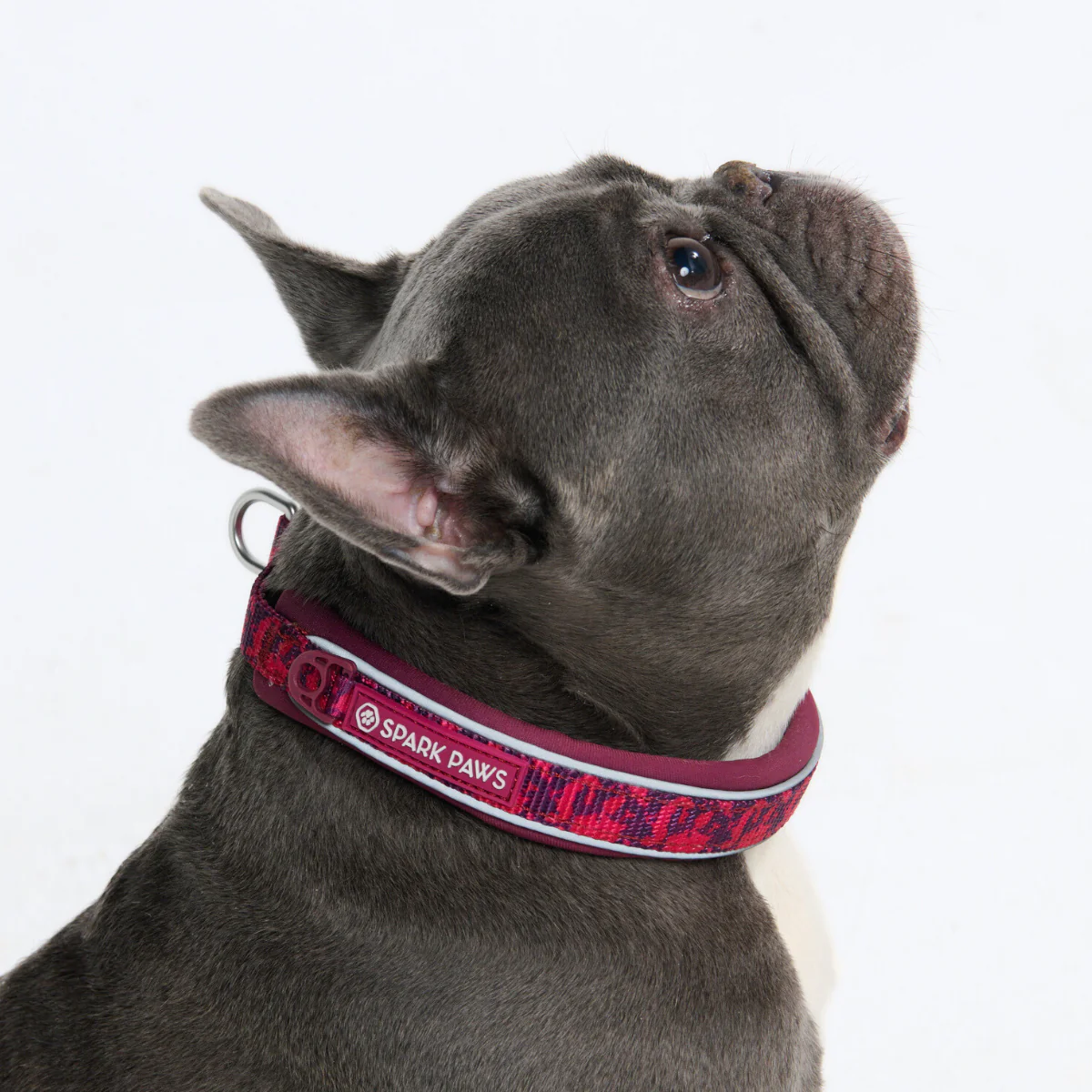 Cushioned Martingale Collars - Image 80