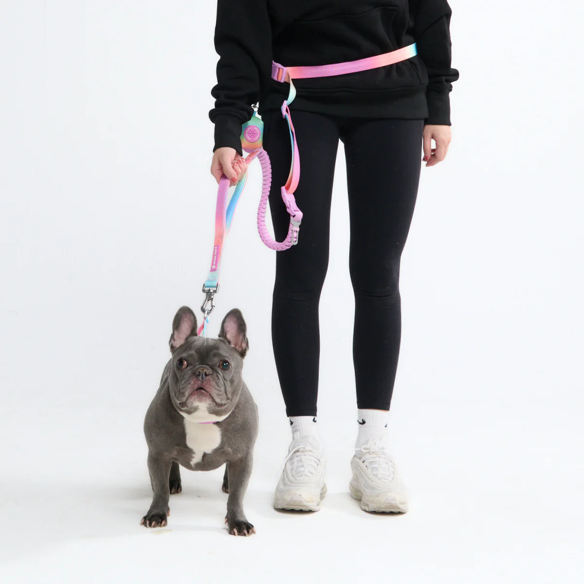 Multipurpose Seatbelt Handsfree Leash & Poop Bag Holder Set - Image 10