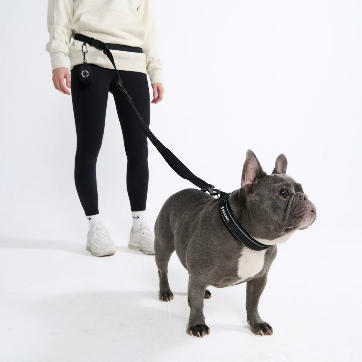 Multipurpose Seatbelt Handsfree Leash & Poop Bag Holder Set - Image 25