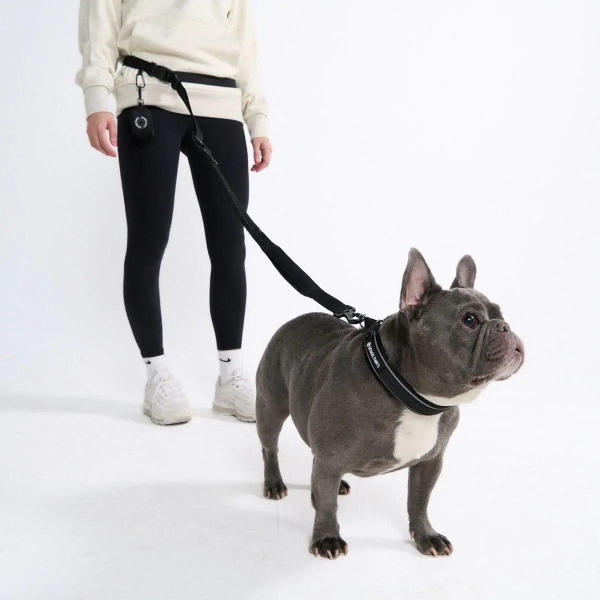Multipurpose Seatbelt Handsfree Leash & Poop Bag Holder Set - Black