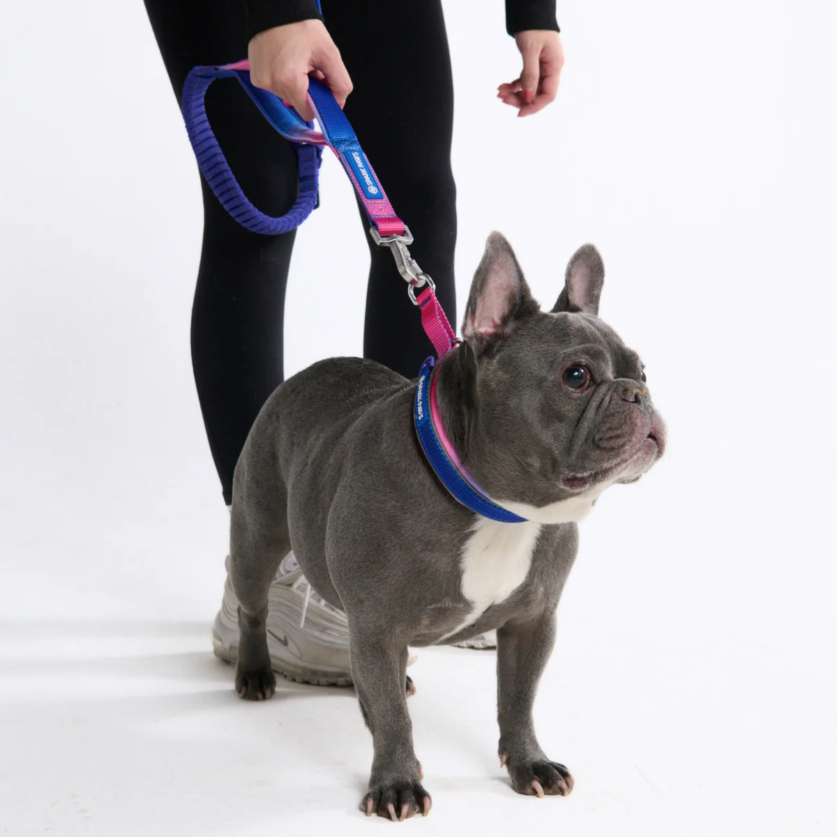 Multipurpose Seatbelt Handsfree Leash & Poop Bag Holder Set - Snow Cone - Image 7