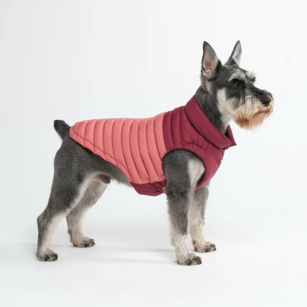 PuffShield Winter Jacket - Red - Image 3