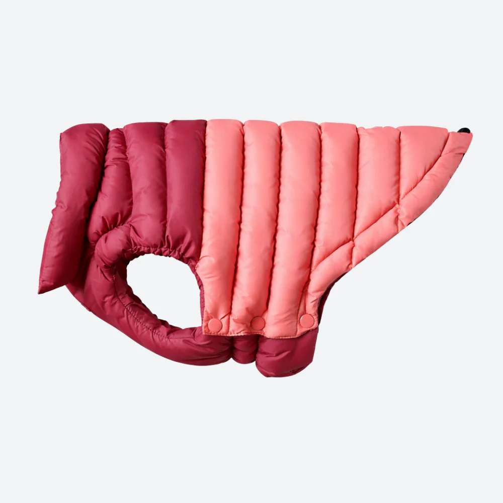 PuffShield Winter Jacket - Red - Image 5