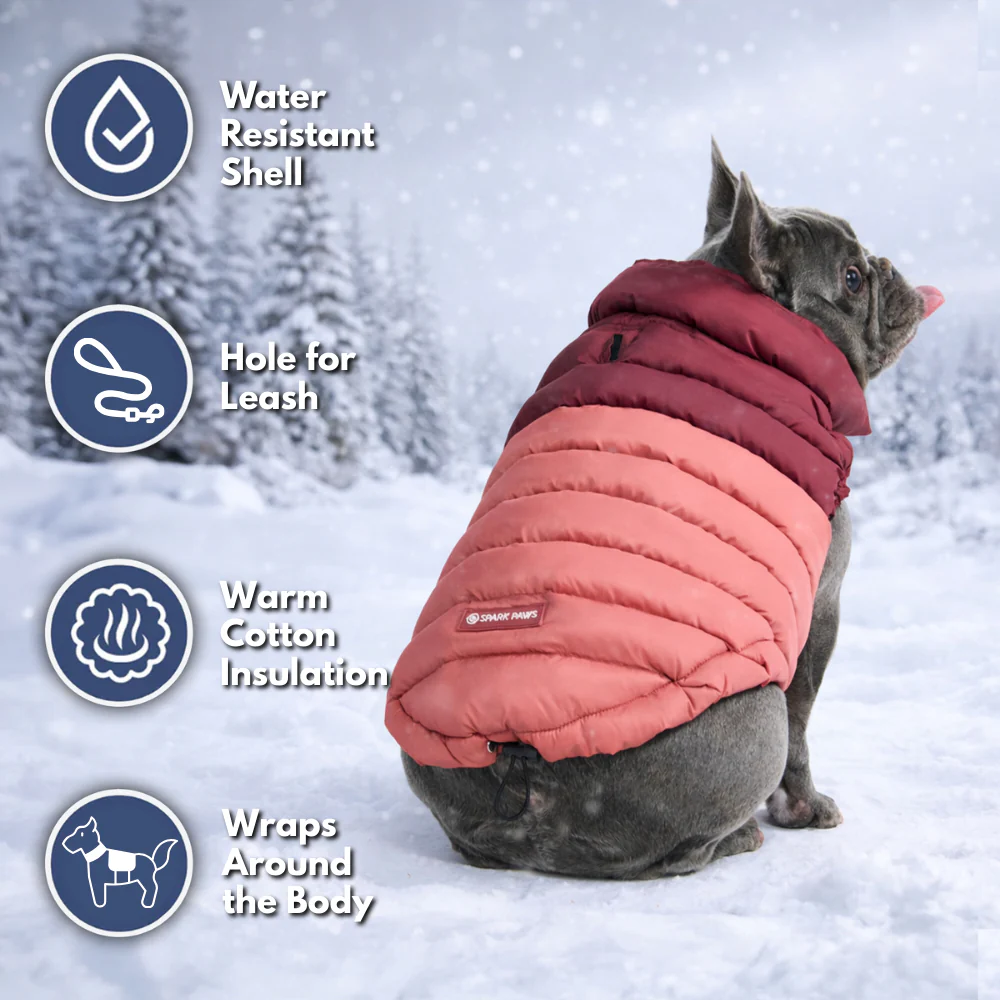PuffShield Winter Jacket - Red - Image 8