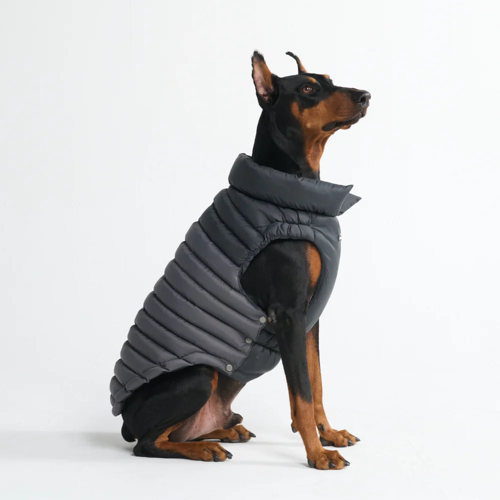 PuffShield Winter Jackets - Image 41