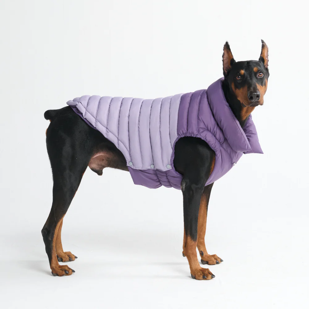 PuffShield Winter Jackets - Image 60