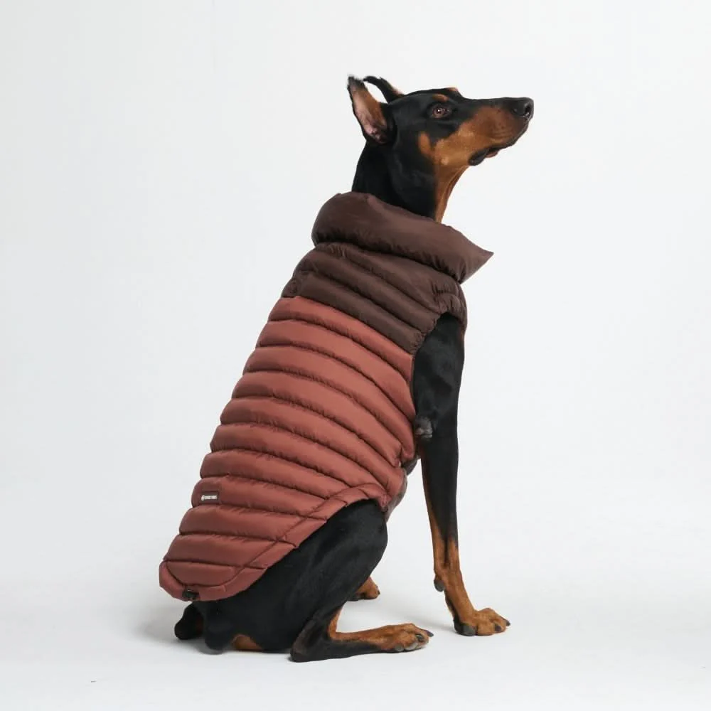 PuffShield Winter Jackets - Image 9