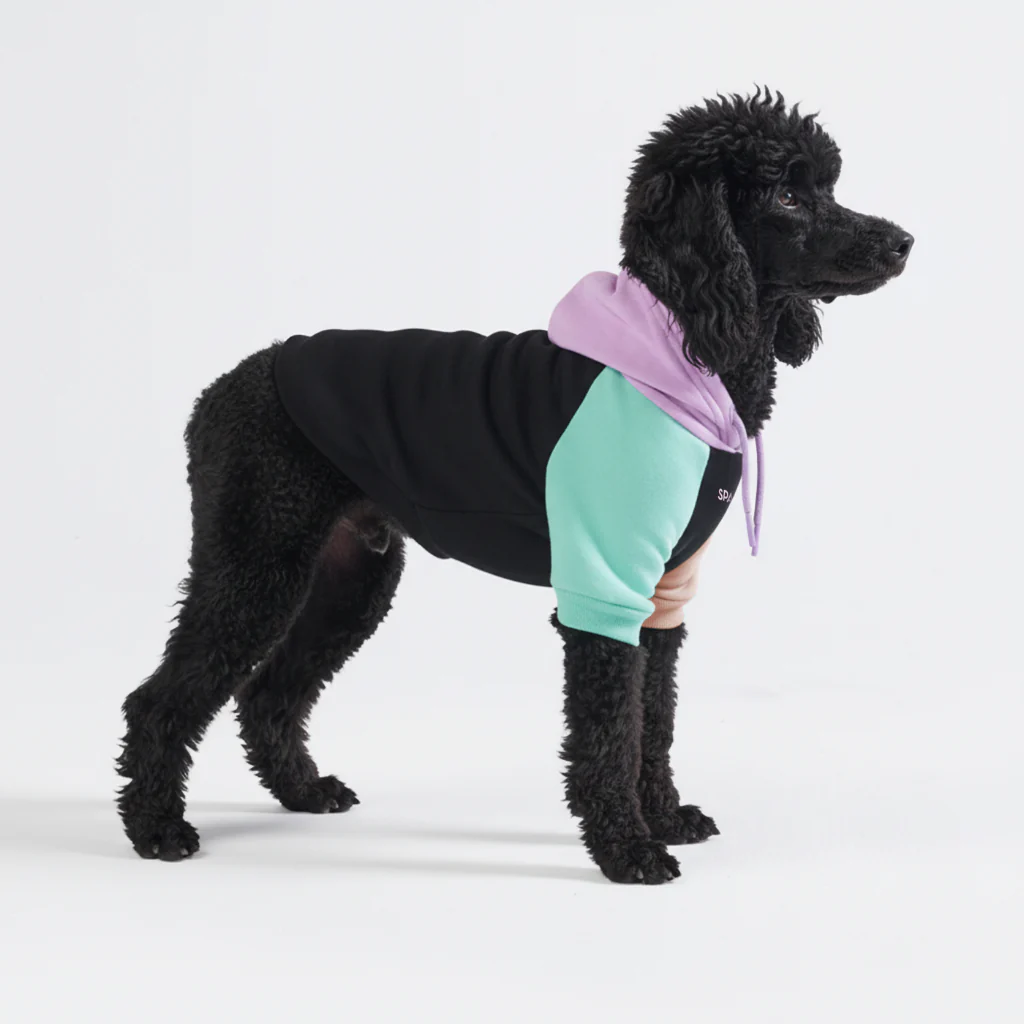 Color Block Dog Hoodies - Image 6