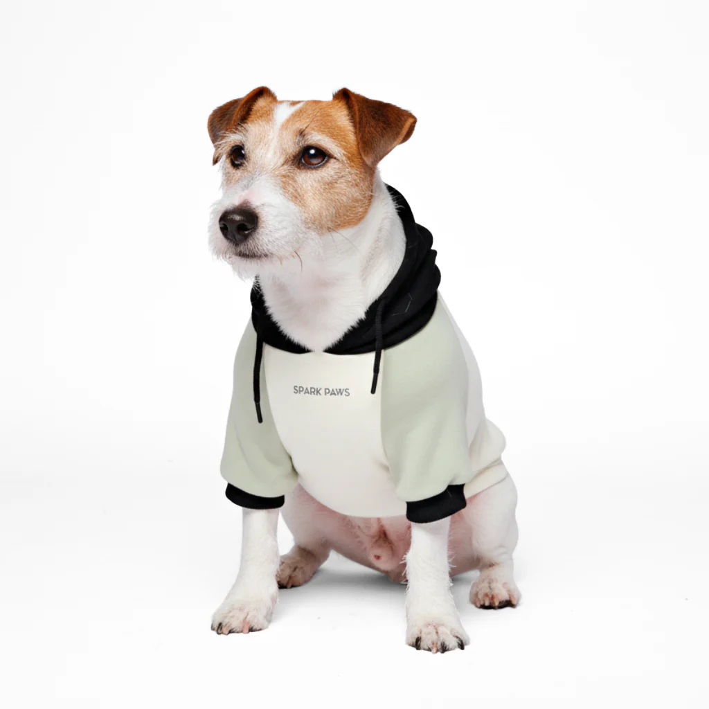 Color Block Dog Hoodies - Image 65