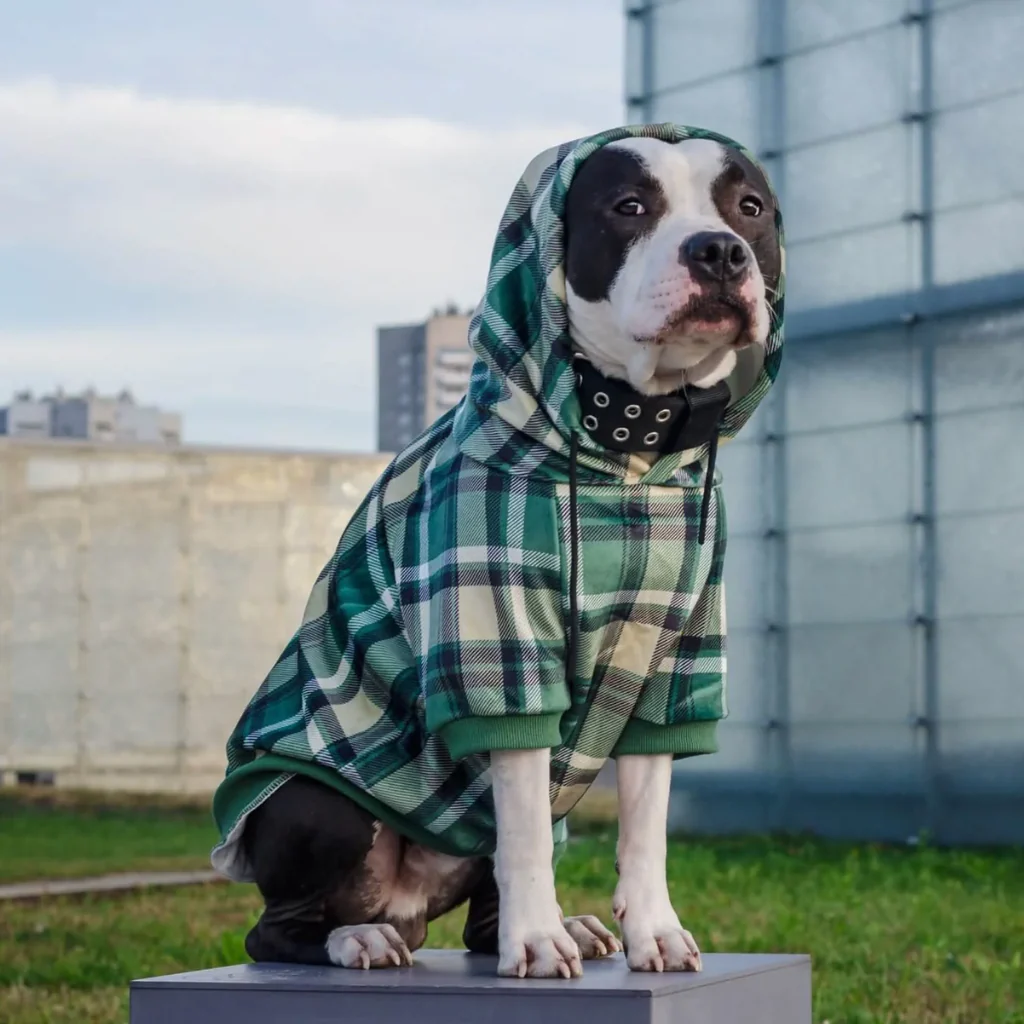 Plaid Dog Hoodies - Image 22