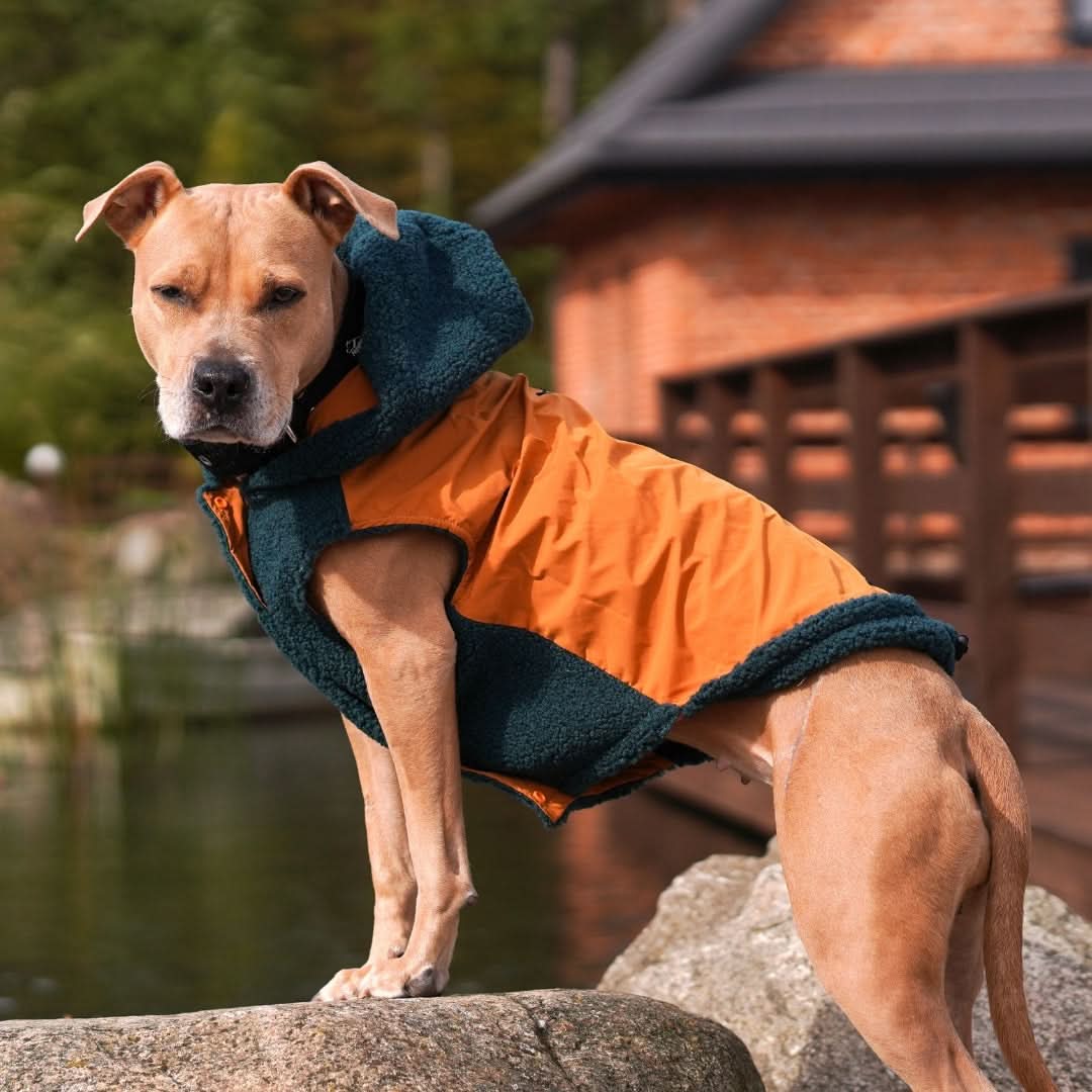 Reversible Sherpa Jackets - Image 10