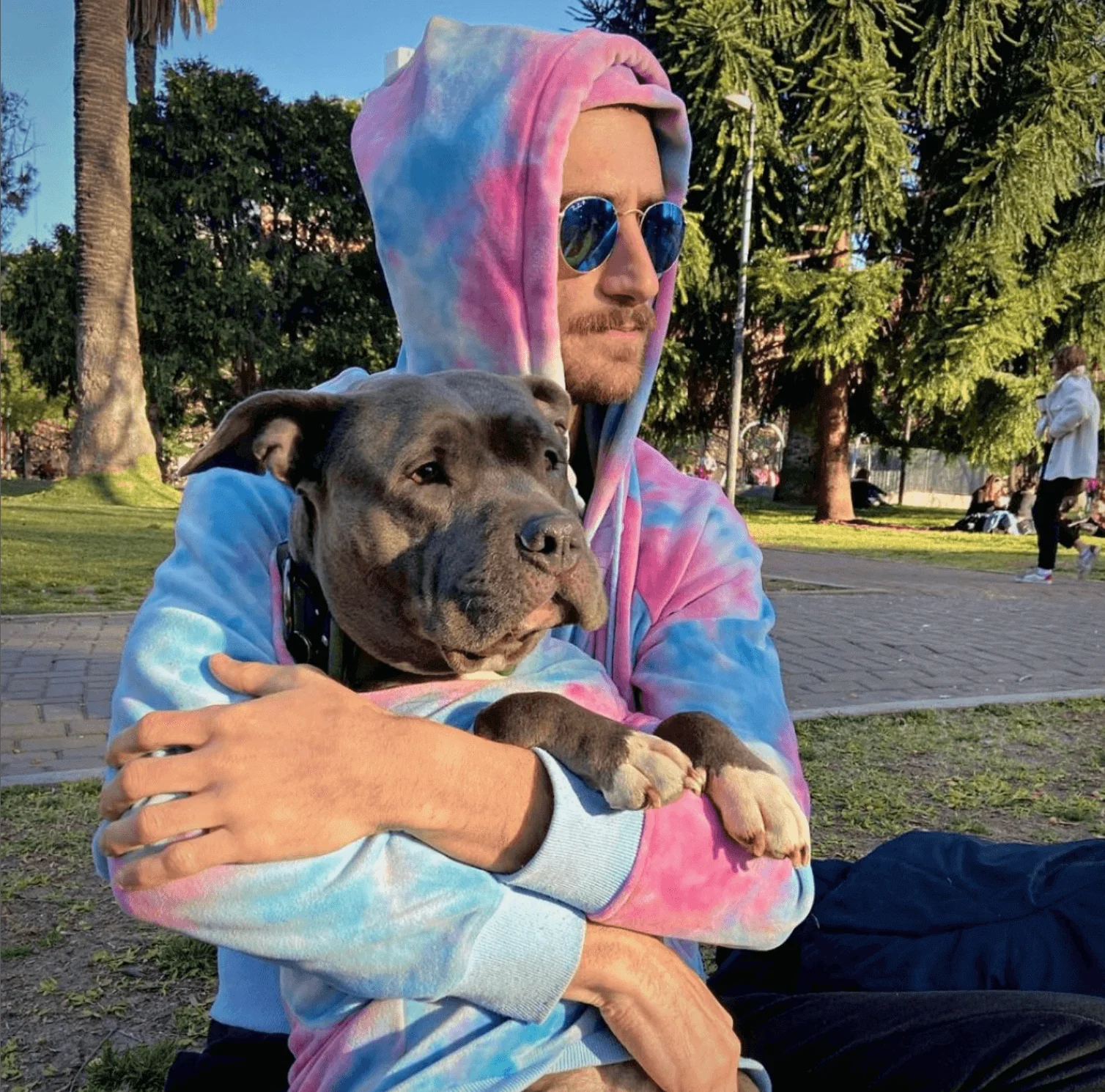 Velvet Dog Hoodies - Image 39
