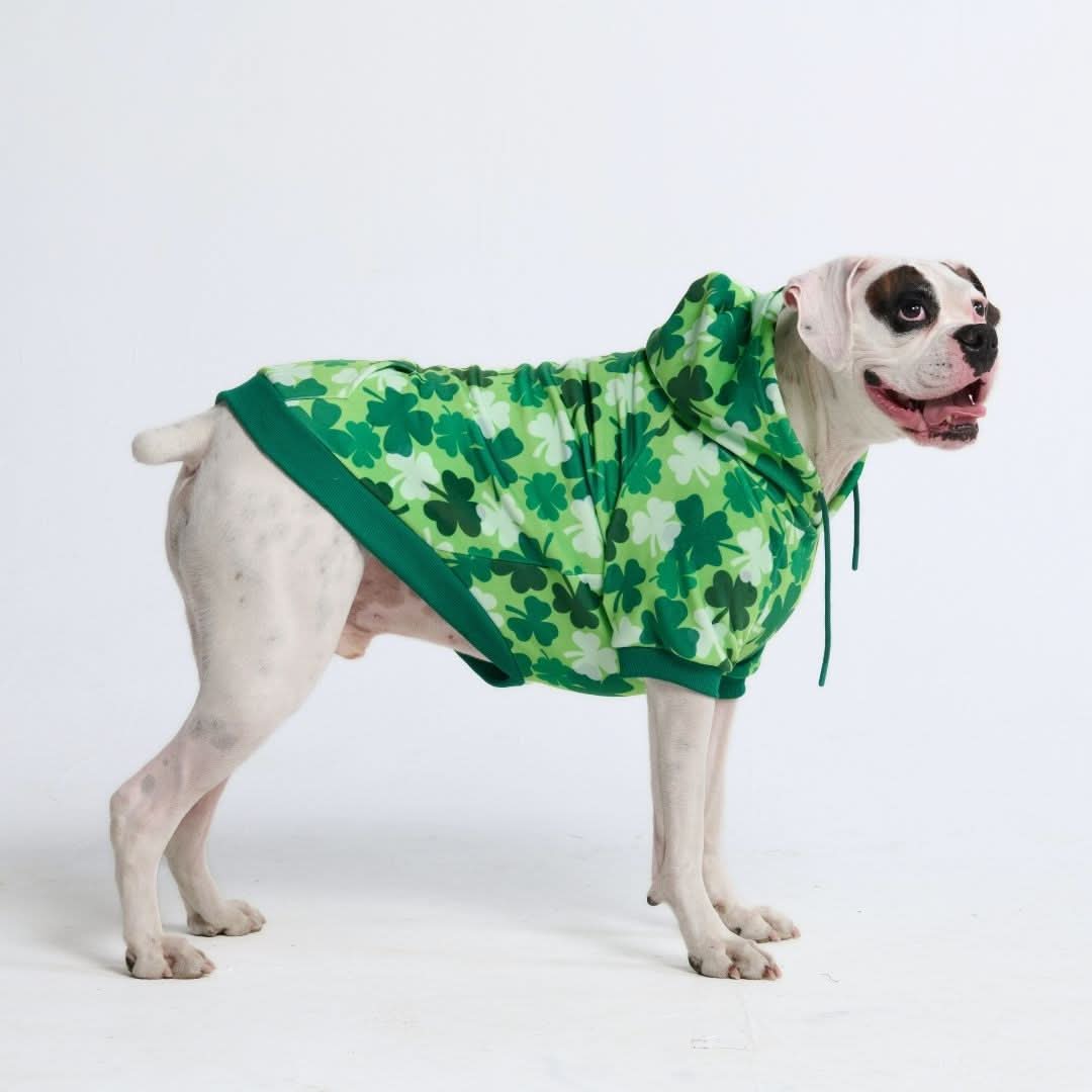 St. Paddy's Human Hoodies (Limited Edition) - Image 18