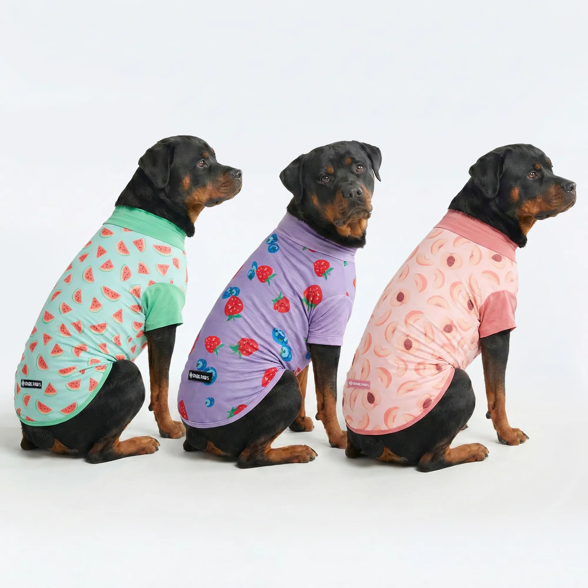 Sunblock T-Shirt 3 Pack - Image 30