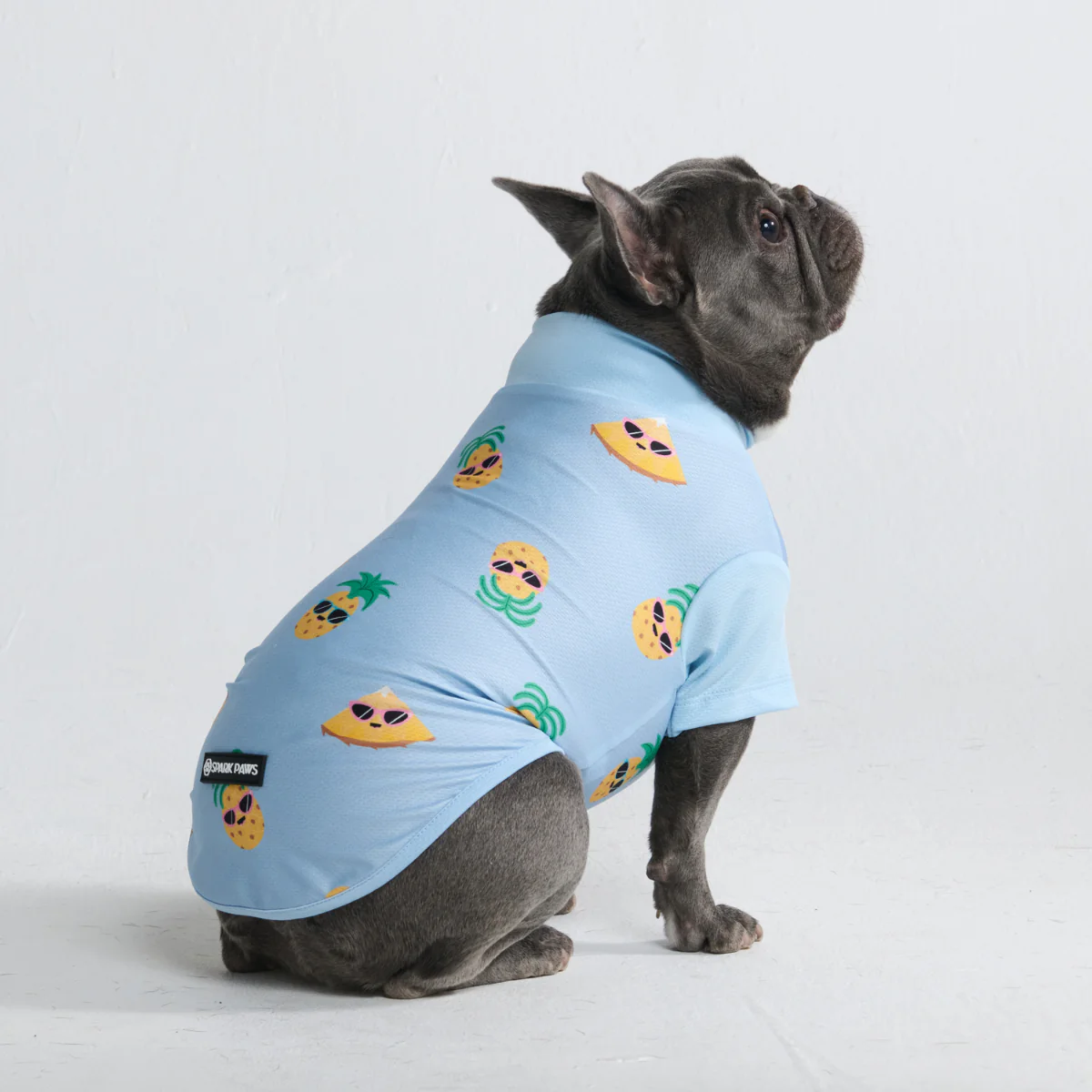 Sunblock Dog T-Shirt - Pineapple - Image 3