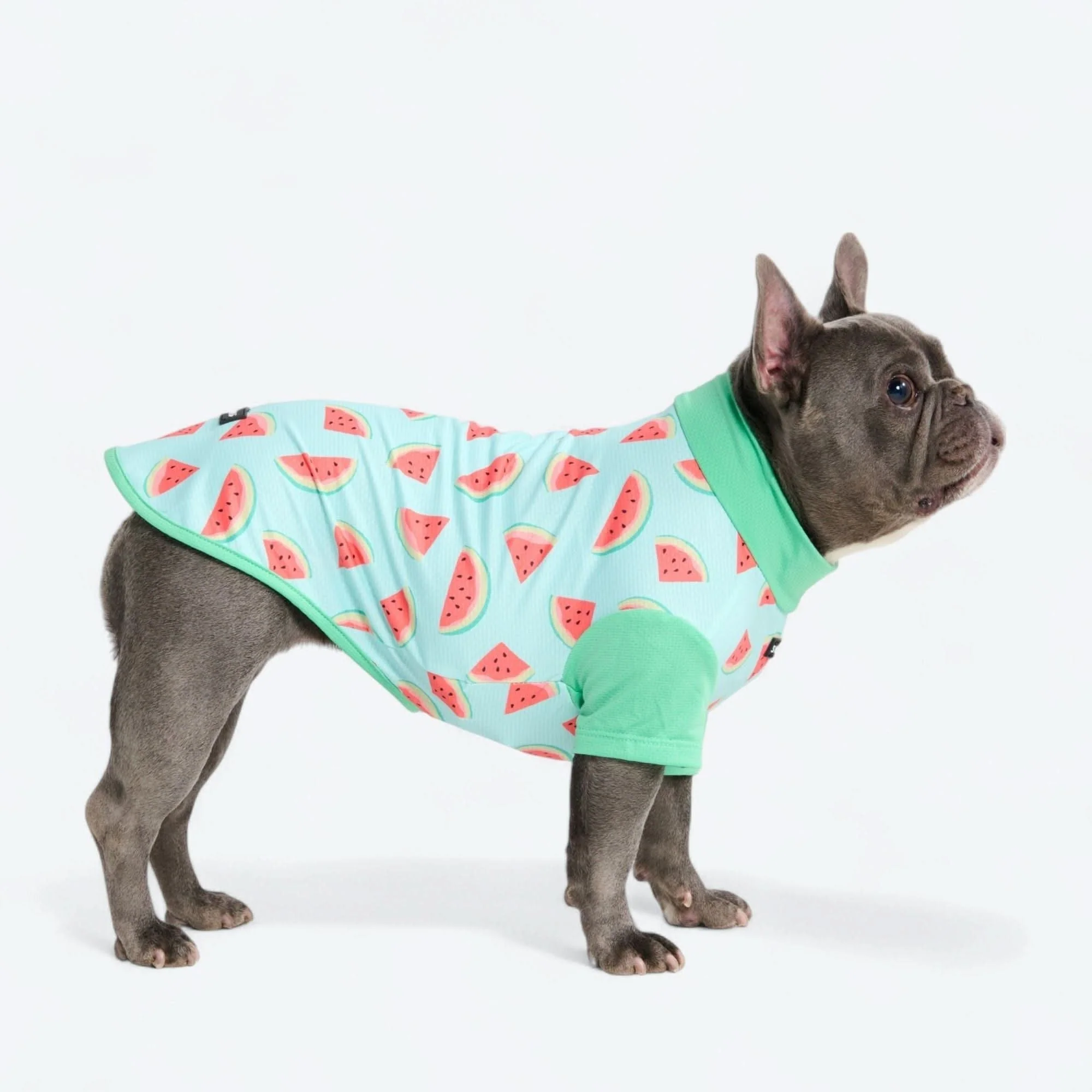Sunblock Dog T-Shirt - Prints - Image 33