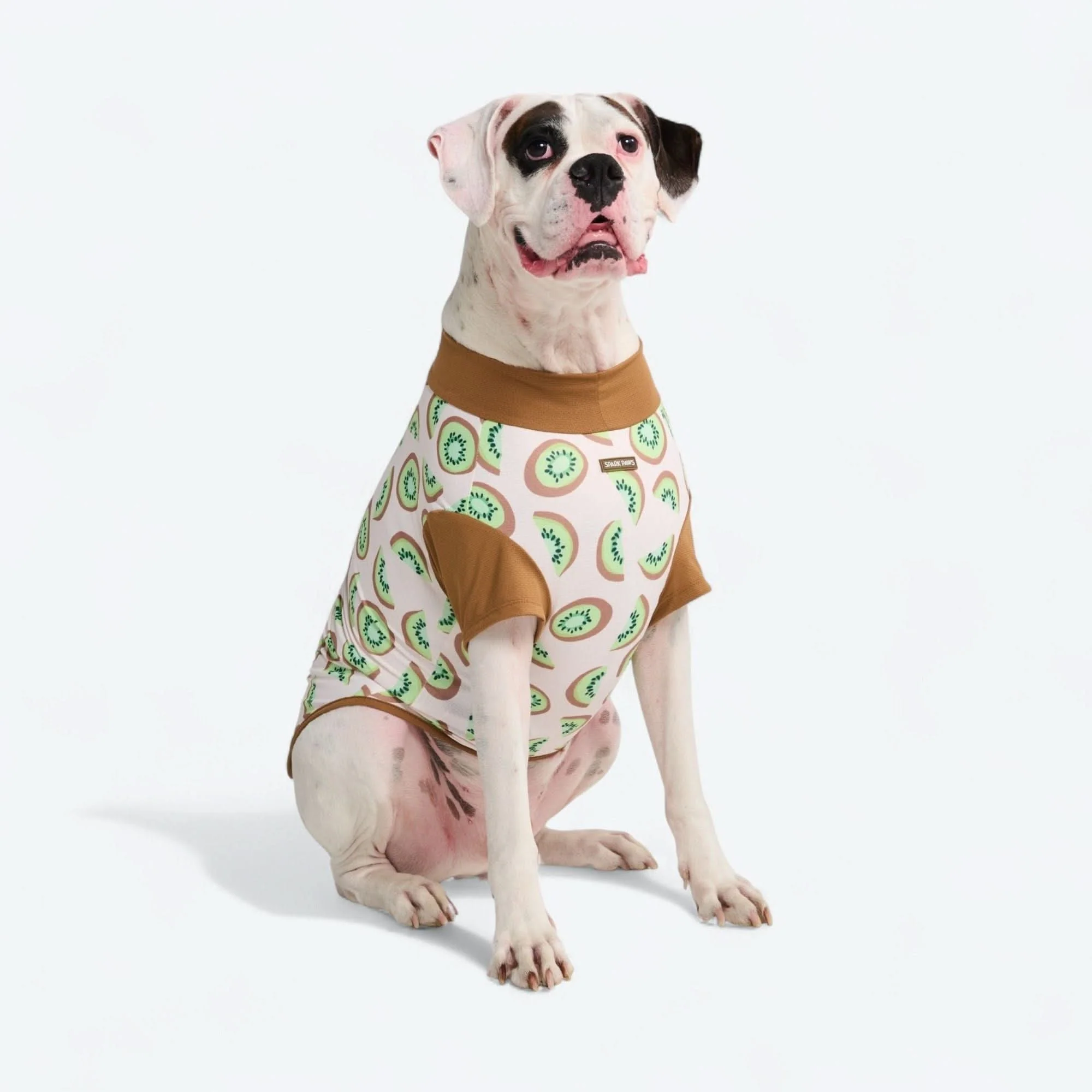 Sunblock Dog T-Shirt - Prints - Image 63
