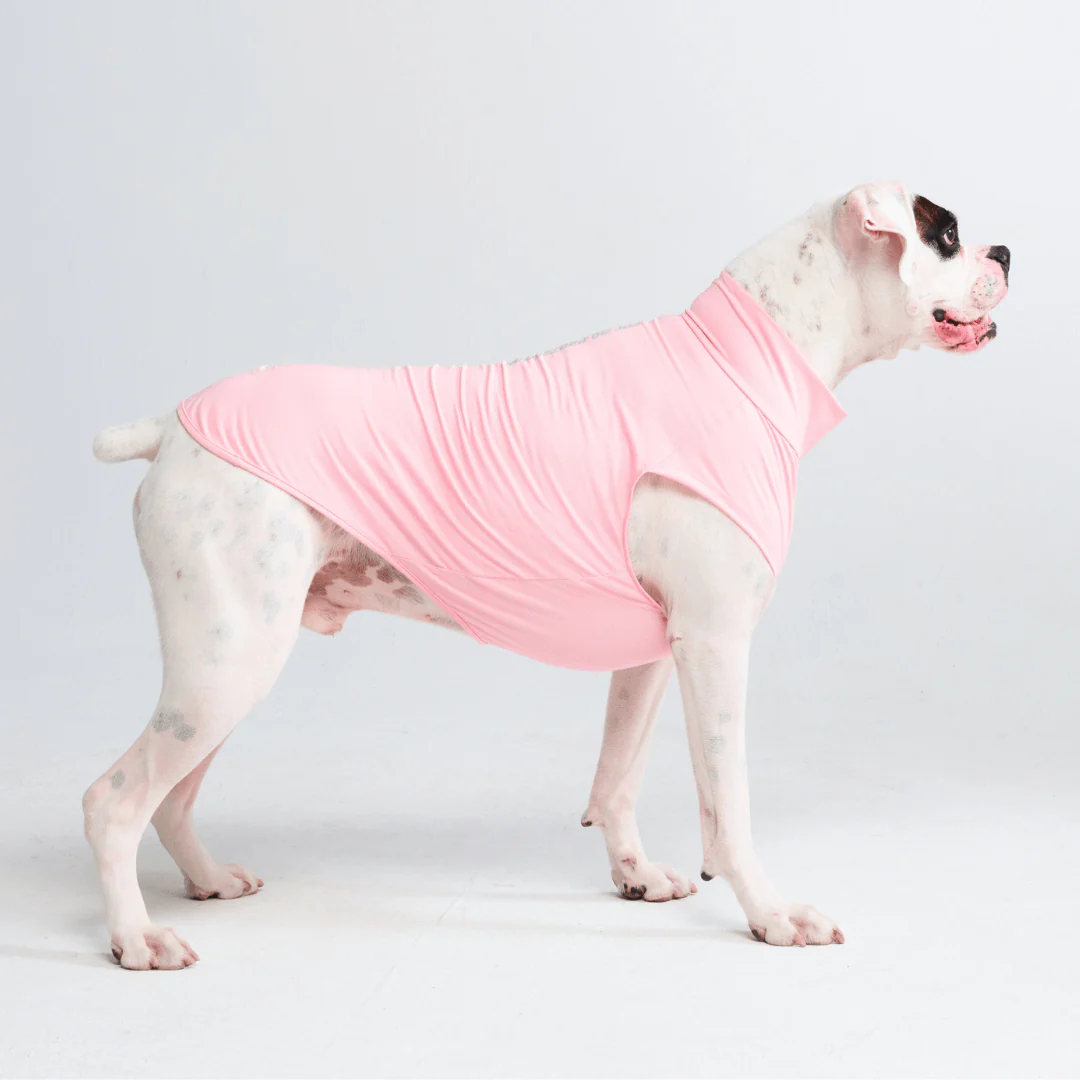 Sunblock Dog T-Shirts - Image 12