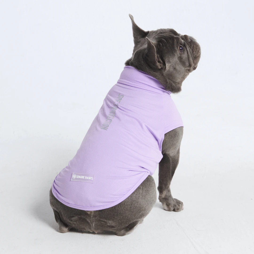 Sunblock Dog T-Shirts - Image 4