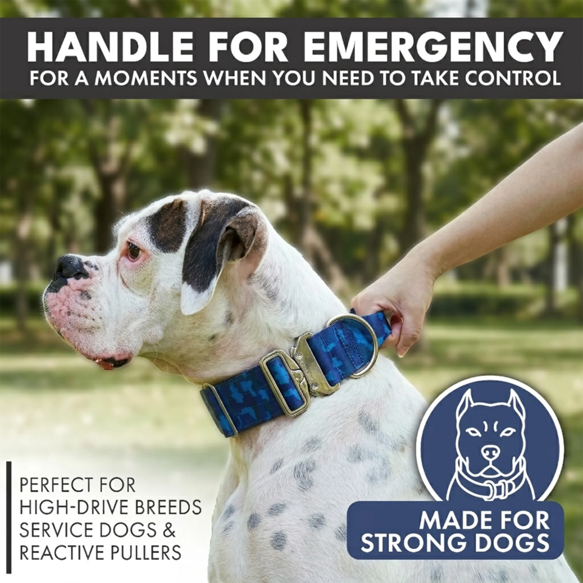 Comfort Control Dog Collar Sets - Image 65