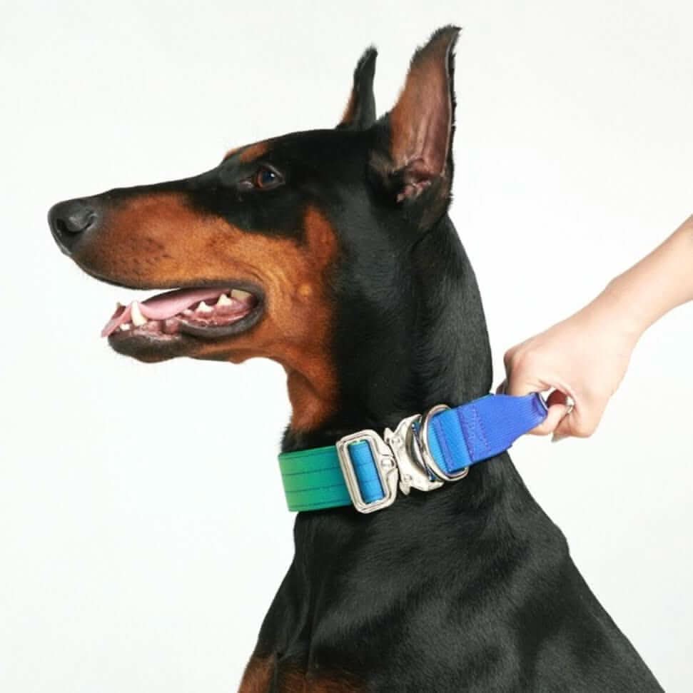Comfort Control Dog Collars - Image 32