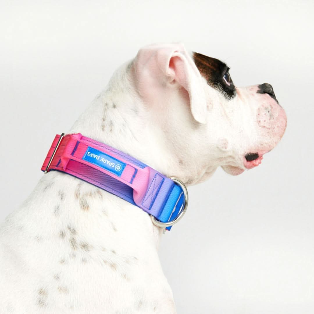 Comfort Control Dog Collars - Image 58