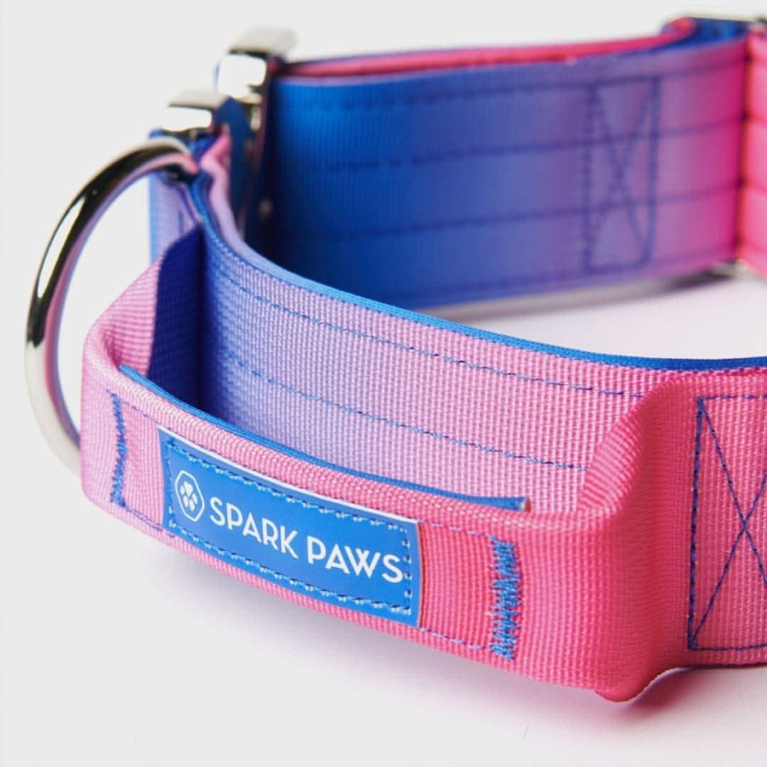 Comfort Control Dog Collars - Image 63