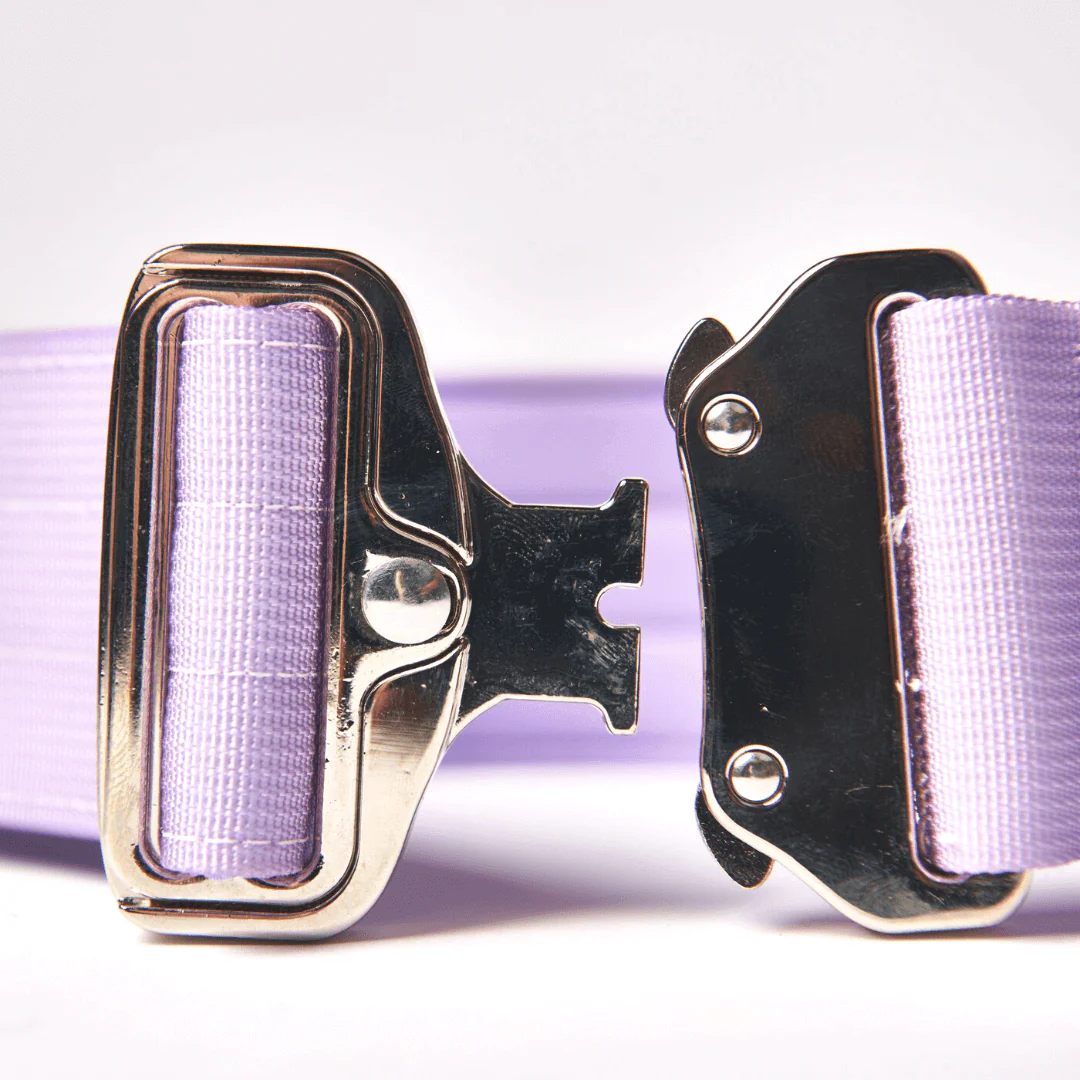 Comfort Control Dog Collars - Image 79