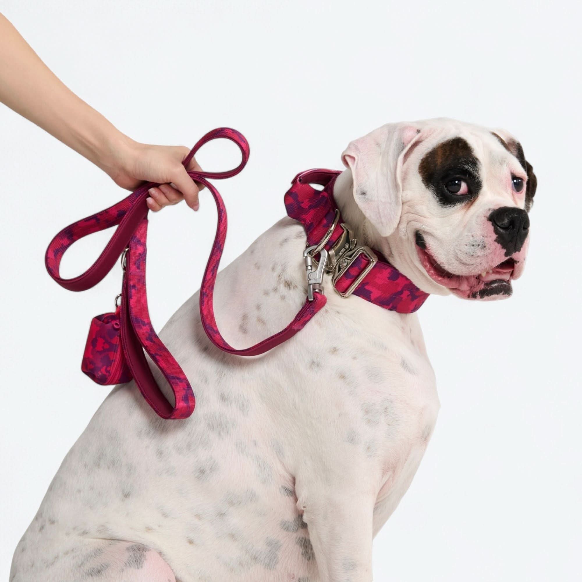 Comfort Control Dog Collars - Image 87