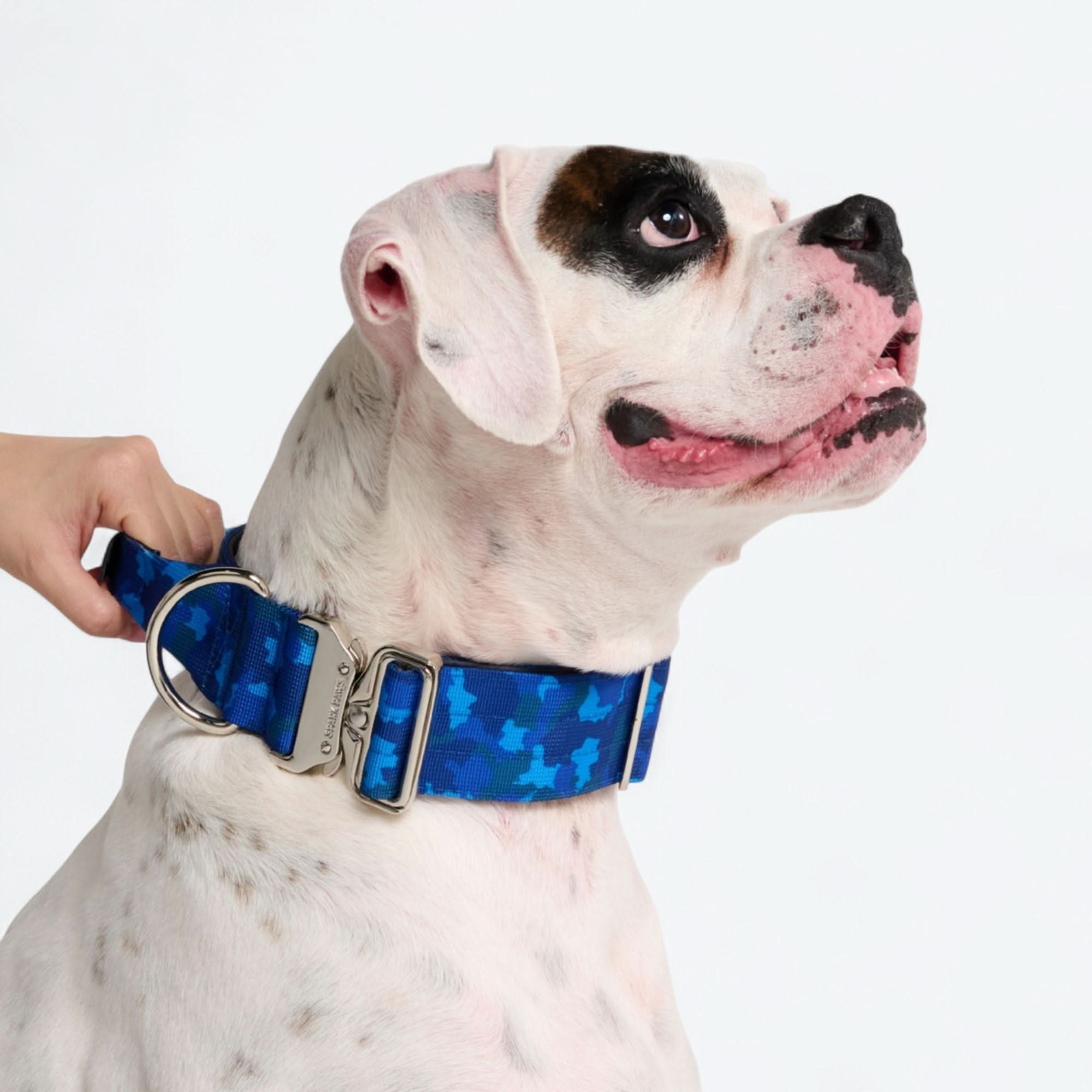Comfort Control Dog Collars - Image 99