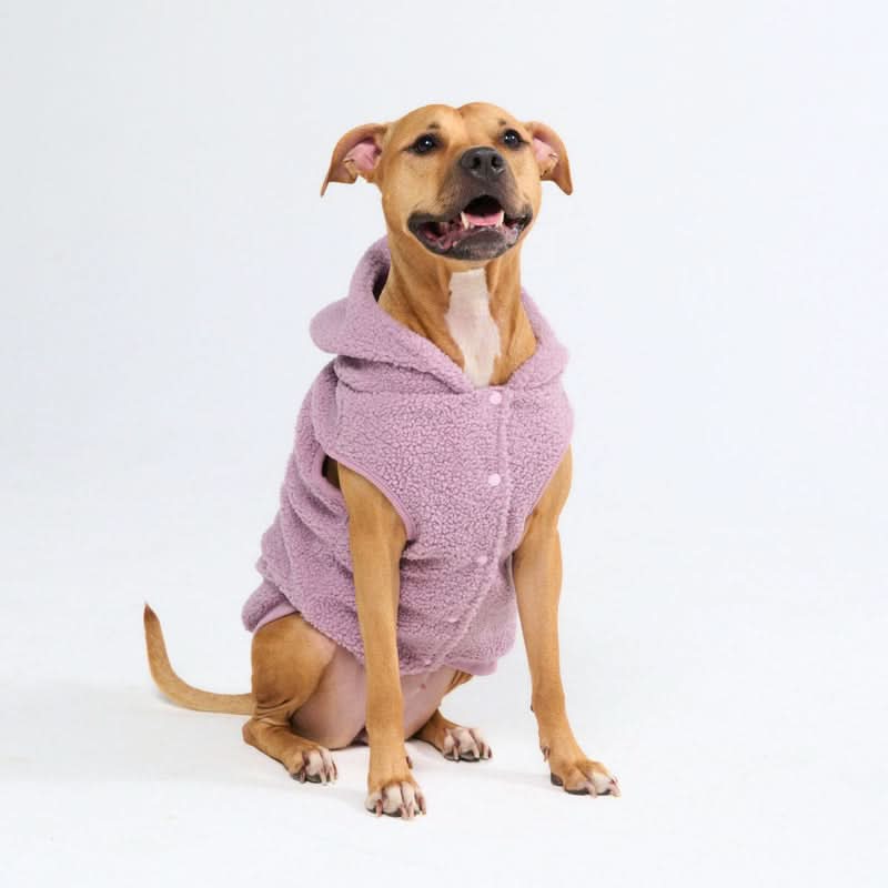 Teddy Sherpa Dog Jackets - Image 38