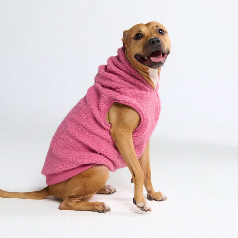 Teddy Sherpa Dog Jackets - Image 4