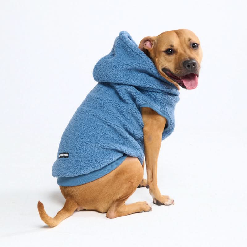 Teddy Sherpa Dog Jackets - Image 45