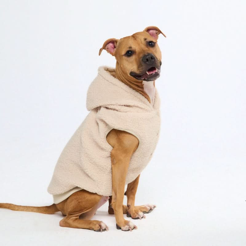 Teddy Sherpa Dog Jackets - Image 46