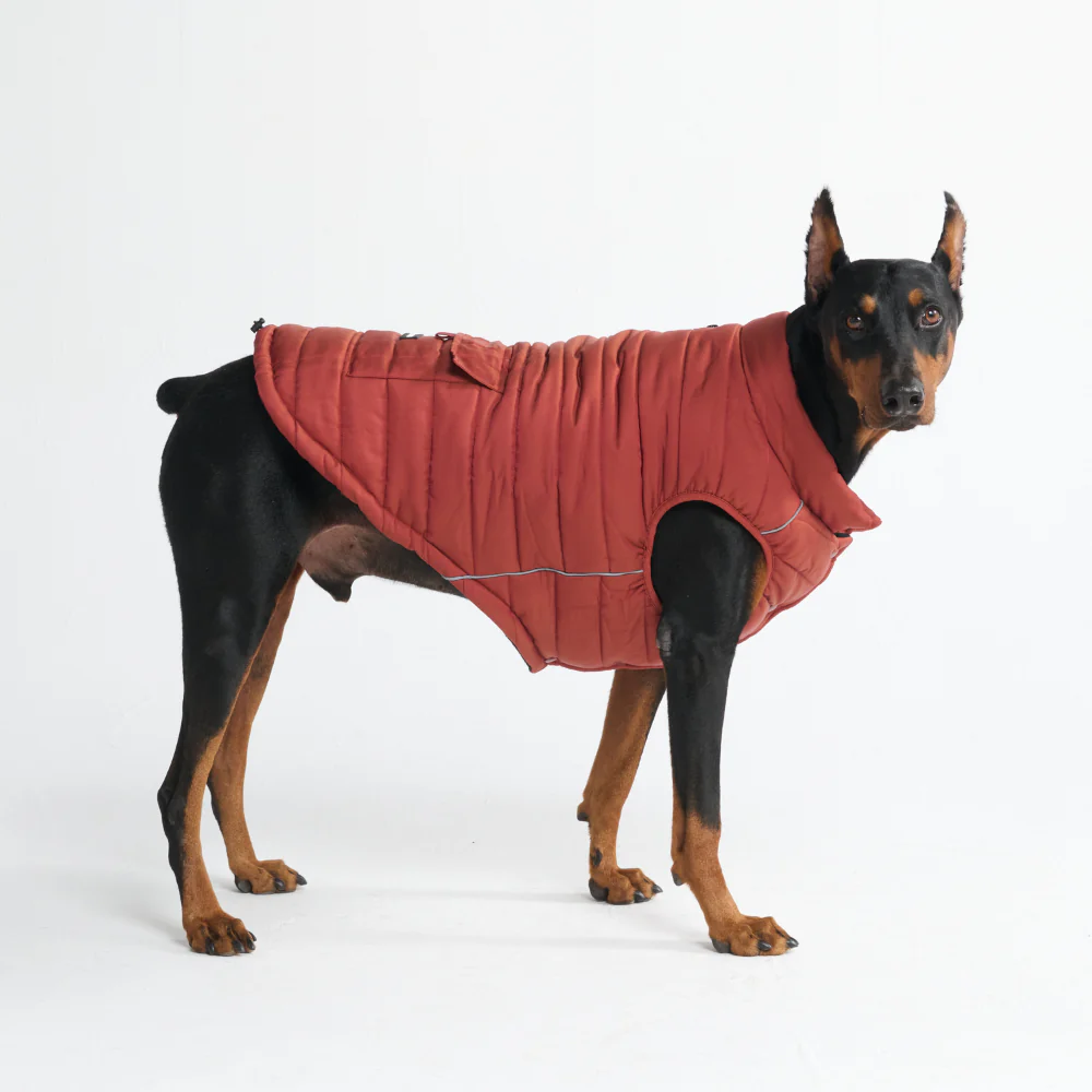 WarmShield Water-Resistant Jackets - Image 74