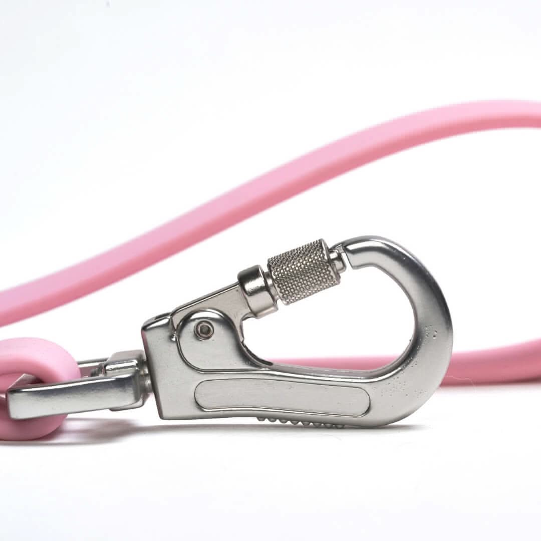Waterproof PVC Dog Leash (Multi-Color) - Image 8