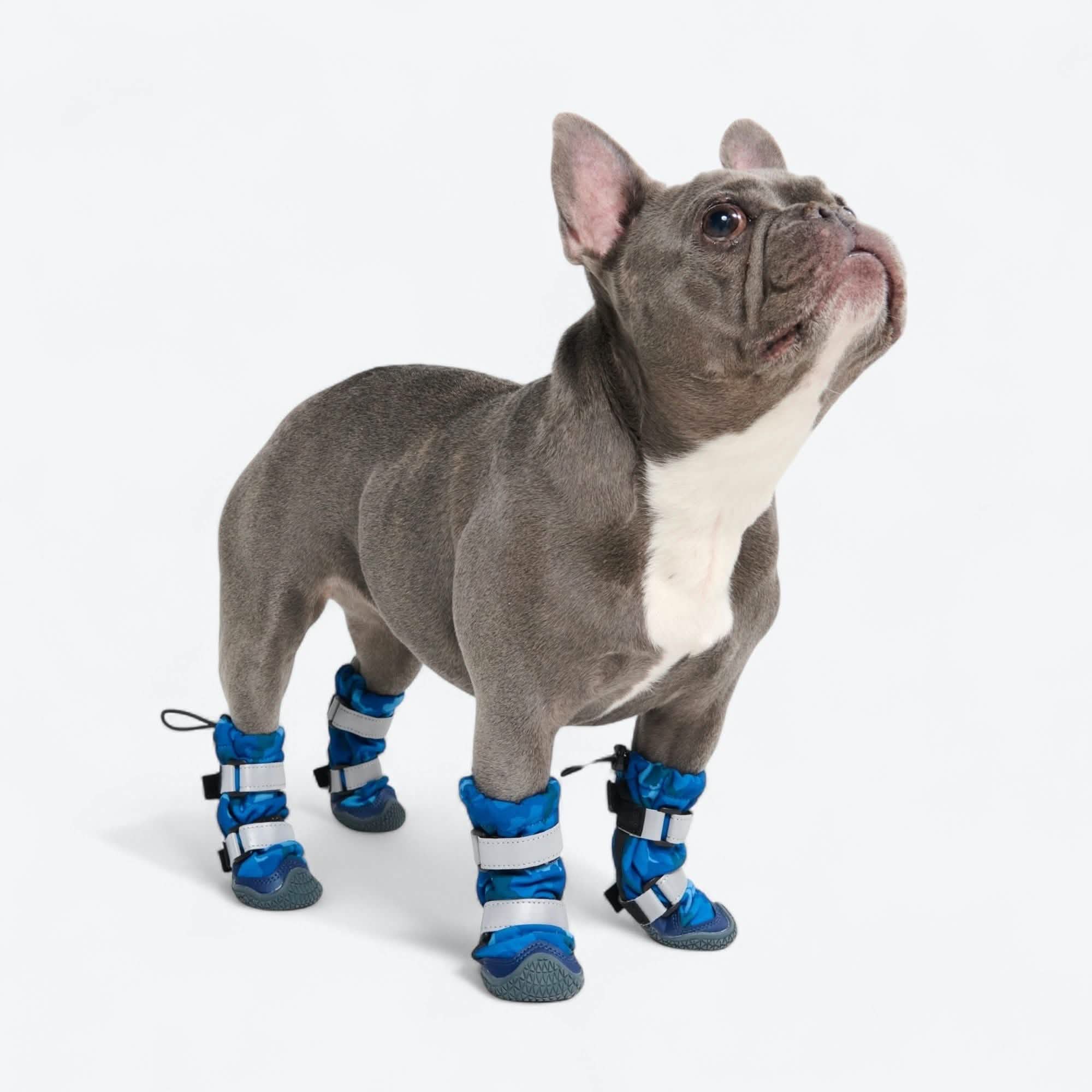 Dog Rainboots, Waterproof Dog Shoes - Image 34