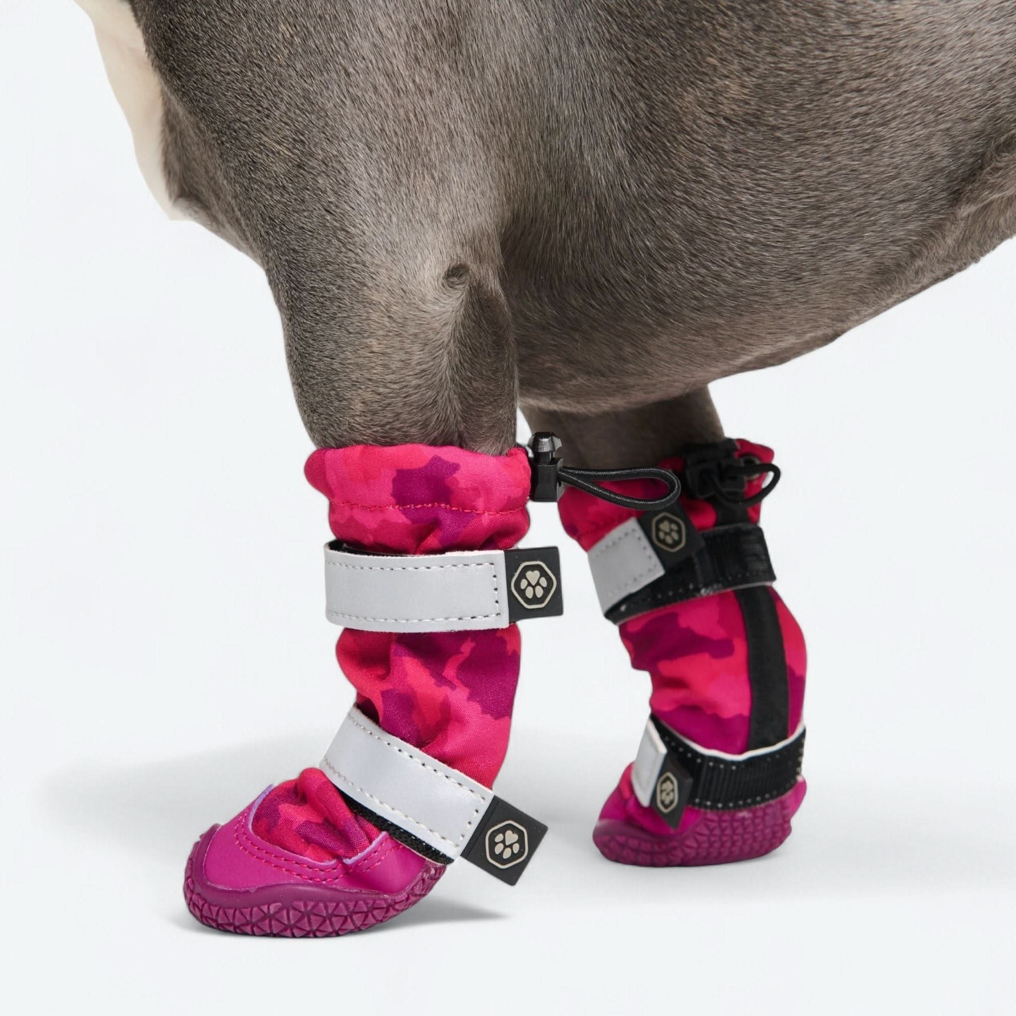 Dog Rainboots, Waterproof Dog Shoes - Image 40
