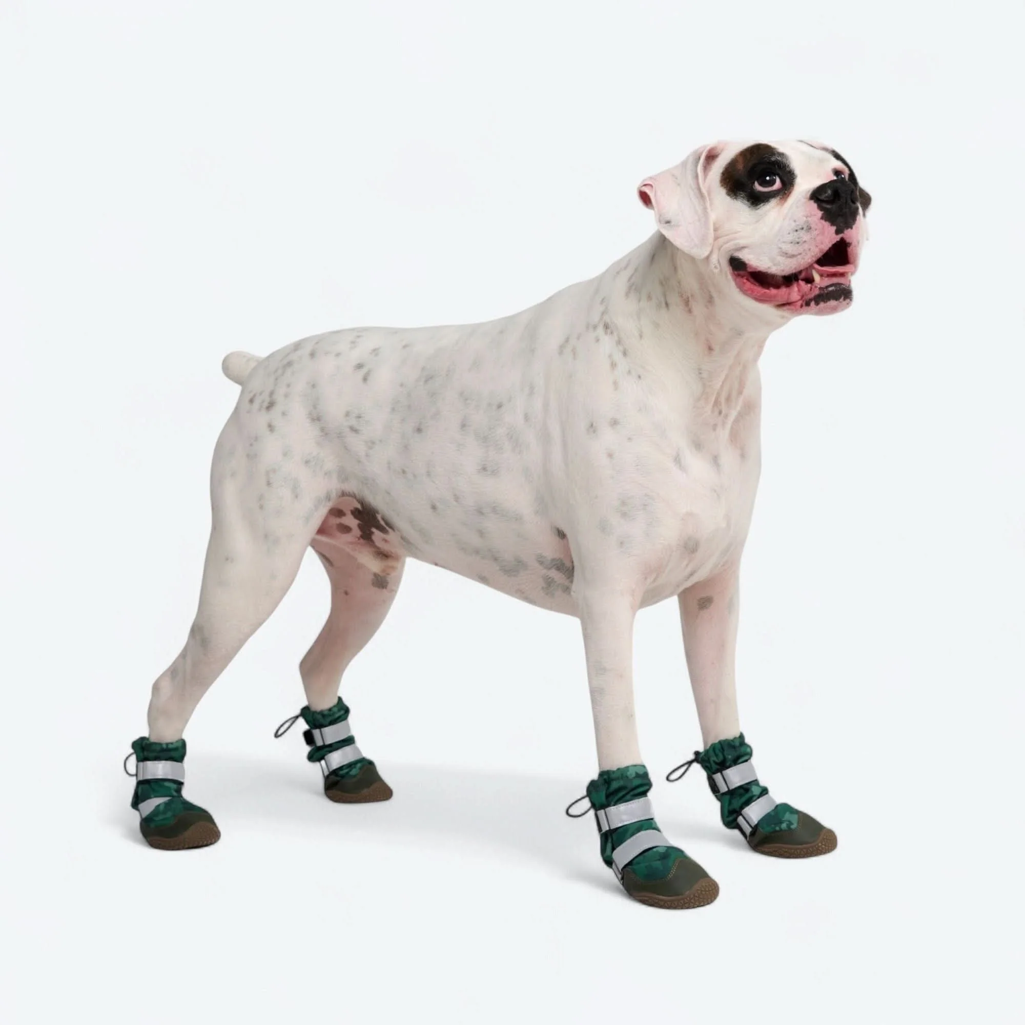 Dog Rainboots, Waterproof Dog Shoes - Green Camo - Image 5