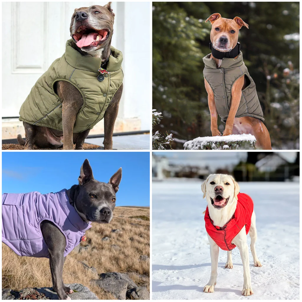 WarmShield Water-Resistant Jackets - Image 112